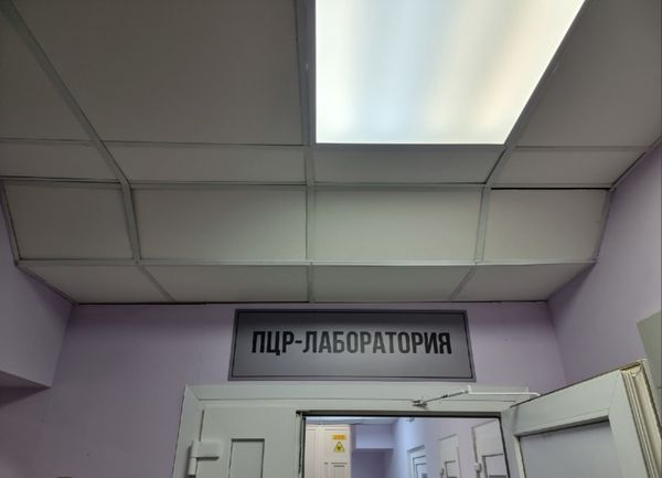 ПЦР лаборатория в ухтинской городской больнице начнет работать в марте