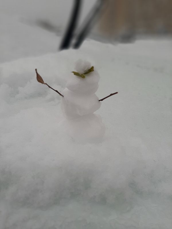 В Ухте продолжается прием заявок для участия в фестивале снежных скульптур