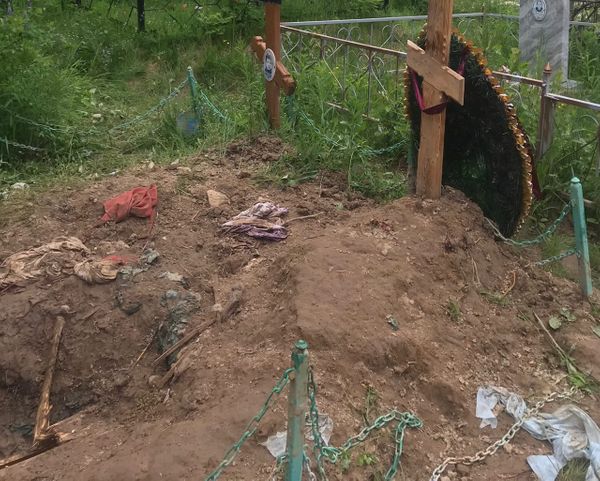 Жители Ухты сообщают о медведе на Крохальском кладбище