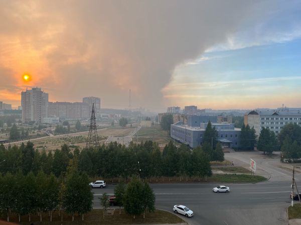 Наиболее сложная ситуация с лесными пожарами остается в Ухте, Удорском, Княжпогостском и Усть-Цилемском районах