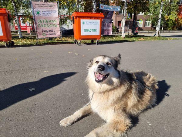 В Ухте прошла экологическая акция «Зеленая суббота»