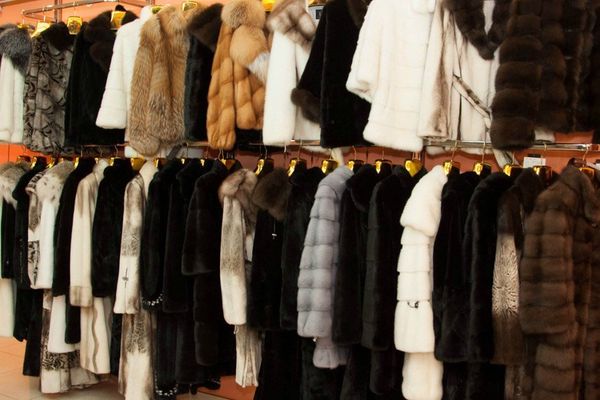 Без шубы и без денег