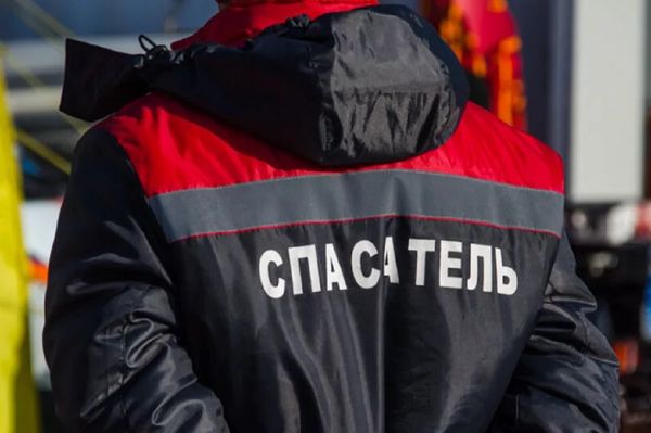 Спасатели вызволили собаку из подвала заброшенного гаража в Ухте