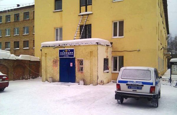 Полиция Ухты проведет экспертизу убитых собак