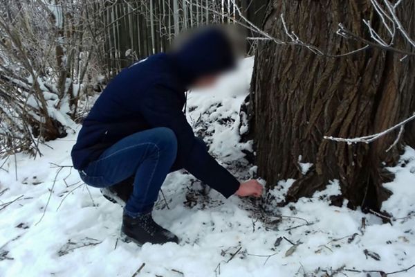 В Коми установят фотоловушки, чтобы вычислять закладчиков наркотиков