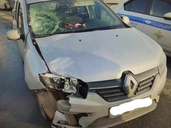 Водителя, который сбил женщину на переходе, отправили под стражу на два месяца