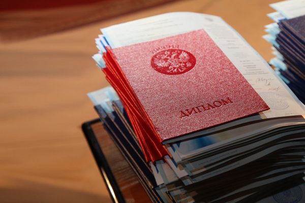 Ухтинка стала жертвой аферистки, пообещавшей ей готовую дипломную работу