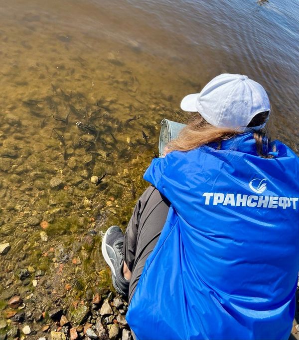 АО «Транснефть – Север» выпустило мальков стерляди в реку в Вологодской области